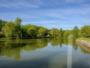 Продажа участка НИИ Радио 35 соток Минское шоссе - foto2