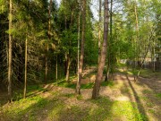 Продажа участка Маслово 50 соток Рублево-Успенское шоссе - foto3.jpg