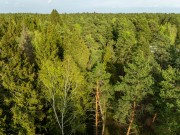 Продажа участка Маслово 50 соток Рублево-Успенское шоссе - foto4.jpg