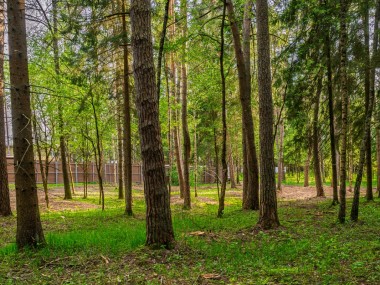 Продажа участков Рублево-Успенское - Маслово - 59010