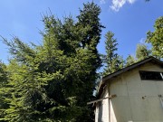 Продажа участка Сидоровское 9 соток Минское шоссе - foto2.jpg