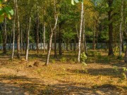 Продажа участка Зеленые холмы 25 соток Киевское шоссе - foto4.jpg