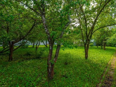 Продажа участков КП Антоновка - Согласие - 59070
