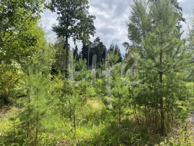 Продажа участков Пятницкое - Горки-7 - 59169