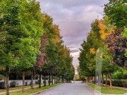 Продажа участка Резиденции Бенилюкс 20 соток Новорижское шоссе - 623831