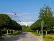 Продажа участка Гринфилд 18 соток Новорижское шоссе - 624328