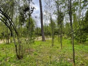 Продажа участка РАНИС 32 сотки Рублево-Успенское шоссе - 626923