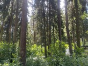 Продажа участка РАНИС 32 сотки Рублево-Успенское шоссе - 646847