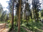 Продажа участка РАНИС 32 сотки Рублево-Успенское шоссе - 646849