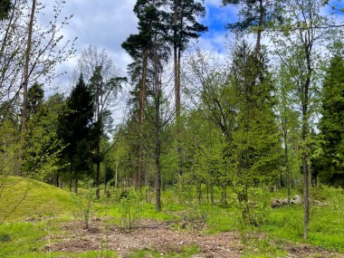 Купить участок - РАНИС - 59317