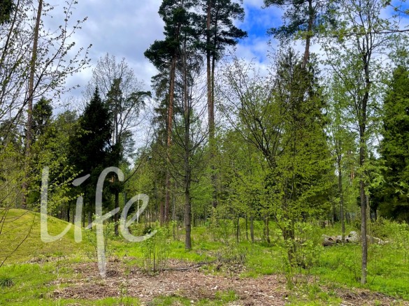 Продажа участка РАНИС 32 сотки Рублево-Успенское шоссе - 626913