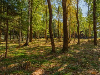 Купить участок - Зеленые холмы - 59322