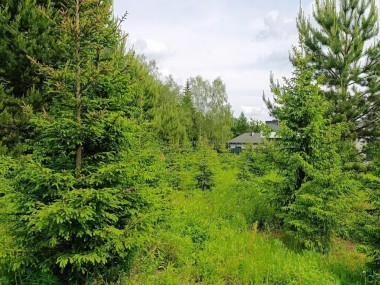 Купить участок - Согласие 2 - 59327