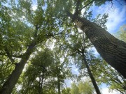 Продажа участка Синергия 19 соток Калужское шоссе - 628254