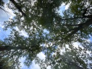 Продажа участка Синергия 16 соток Калужское шоссе - 628258