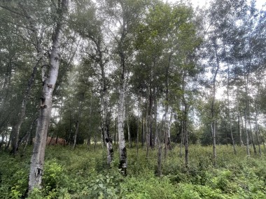 Купить участок - Раздоры - 59353