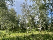 Продажа участка Раздоры 29 соток Рублево-Успенское шоссе - 628353