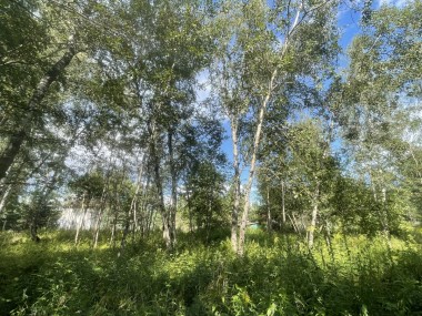 Купить участок - Раздоры - 59354