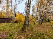 Продажа участка Горки-8 42 сотки Рублево-Успенское шоссе - 628490