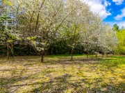 Продажа участка Жуковка 45 соток Рублево-Успенское шоссе - 631971