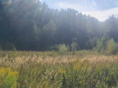 Продажа участков М11 - Новогорск - 59452