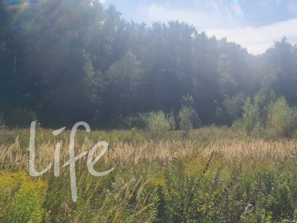 Продажа участка Новогорск 32 сотки Куркинское шоссе - 632537