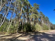Продажа участка Сосновый бор (Николина Гора) 82 сотки Рублево-Успенское шоссе - 638567