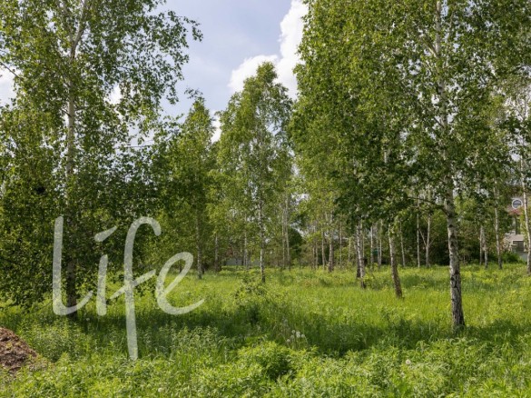 Продажа участка Ильинский ландшафт 16 соток Новорижское шоссе - 638887