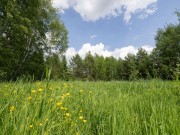 Продажа участка Ильинский ландшафт 16 соток Новорижское шоссе - 638885