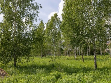 Продажа участков Ильинское - Ильинский ландшафт - 59662