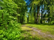 Продажа участка Академические дачи 50 соток Рублево-Успенское шоссе - 641360