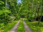 Продажа участка Академические дачи 50 соток Рублево-Успенское шоссе - 641368