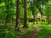 Продажа участка Академические дачи 50 соток Рублево-Успенское шоссе - 641371