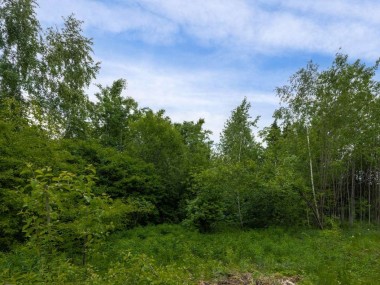 Купить участок - Балтия - 59727