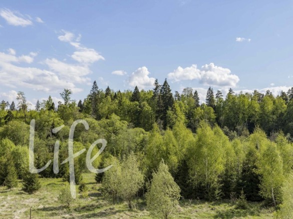 Продажа участка Середнево 35 соток Киевское шоссе - 642942