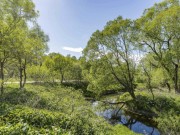 Продажа участка Середнево 32 сотки Киевское шоссе - 642940