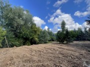 Продажа участка Подушкино 34 сотки Рублево-Успенское шоссе - 643882
