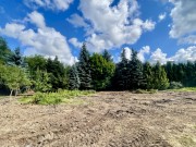 Продажа участка Подушкино 34 сотки Рублево-Успенское шоссе - 643883
