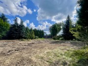 Продажа участка Подушкино 34 сотки Рублево-Успенское шоссе - 643884