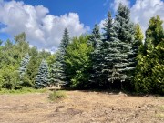 Продажа участка Подушкино 34 сотки Рублево-Успенское шоссе - 643885
