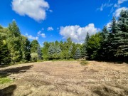 Продажа участка Подушкино 34 сотки Рублево-Успенское шоссе - 643887