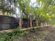 Продажа участка Подушкино 34 сотки Рублево-Успенское шоссе - 643888