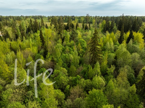 Продажа участка Иславское 11 соток Рублево-Успенское шоссе - 647397