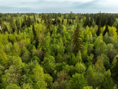 Продажа участков Рублево-Успенское - Иславское - 60043