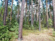 Продажа участка Резиденции Бенилюкс 193 сотки Новорижское шоссе - 638572