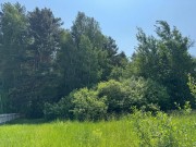 Продажа участка Резиденции Бенилюкс 193 сотки Новорижское шоссе - 638573